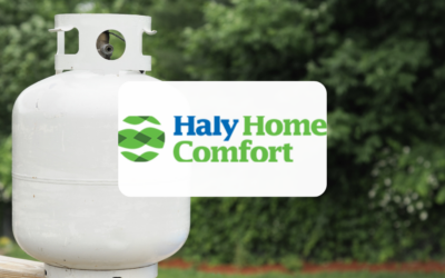Haly Oil