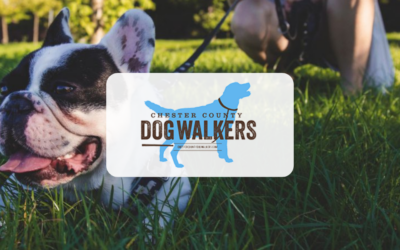 Chester County Dog Walkers
