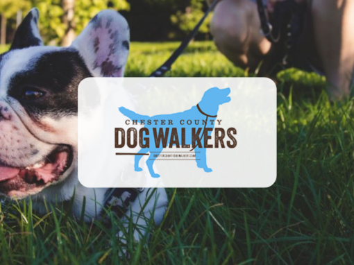 Chester County Dog Walkers