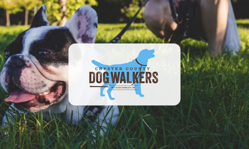 Chester County Dog Walkers