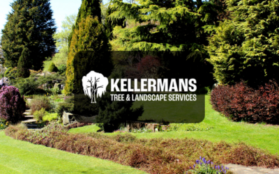 Kellermans’s Landscaping