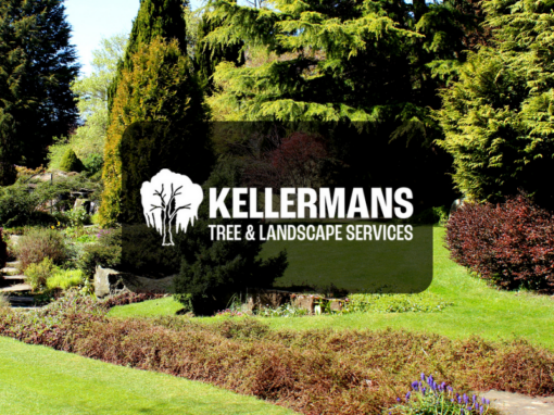 Kellermans’s Landscaping