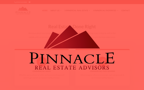 Pinnacle Real Estate Listings