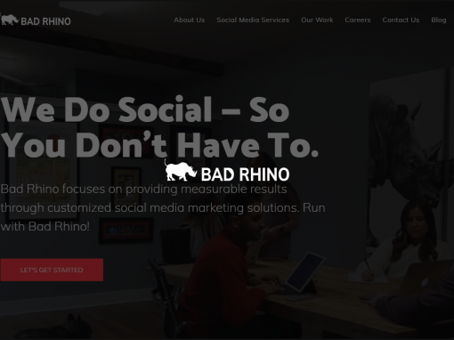 Bad Rhino