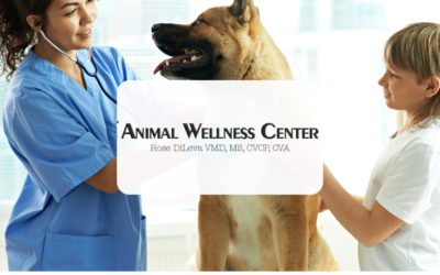 Animal Wellness Center