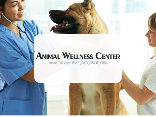 Animal Wellness Center