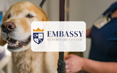Embassy Veterinary Center