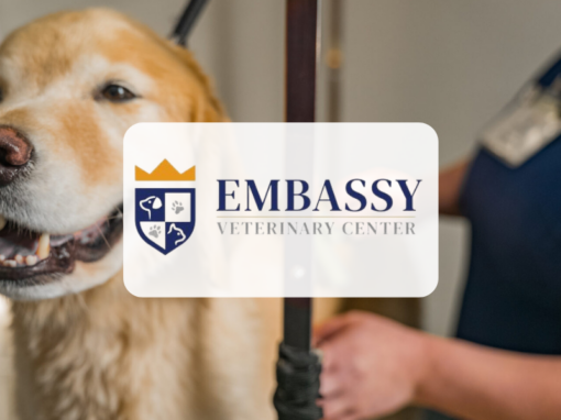 Embassy Veterinary Center