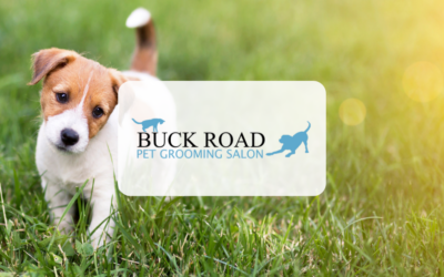 Buck Road Pet Grooming