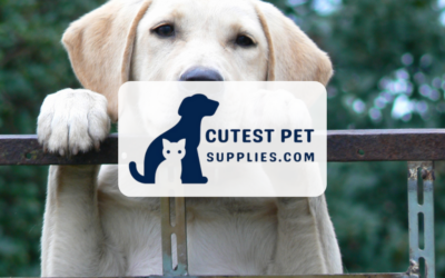 Cutest Pet Supplies