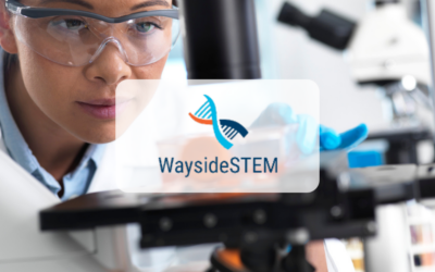 Wayside STEM
