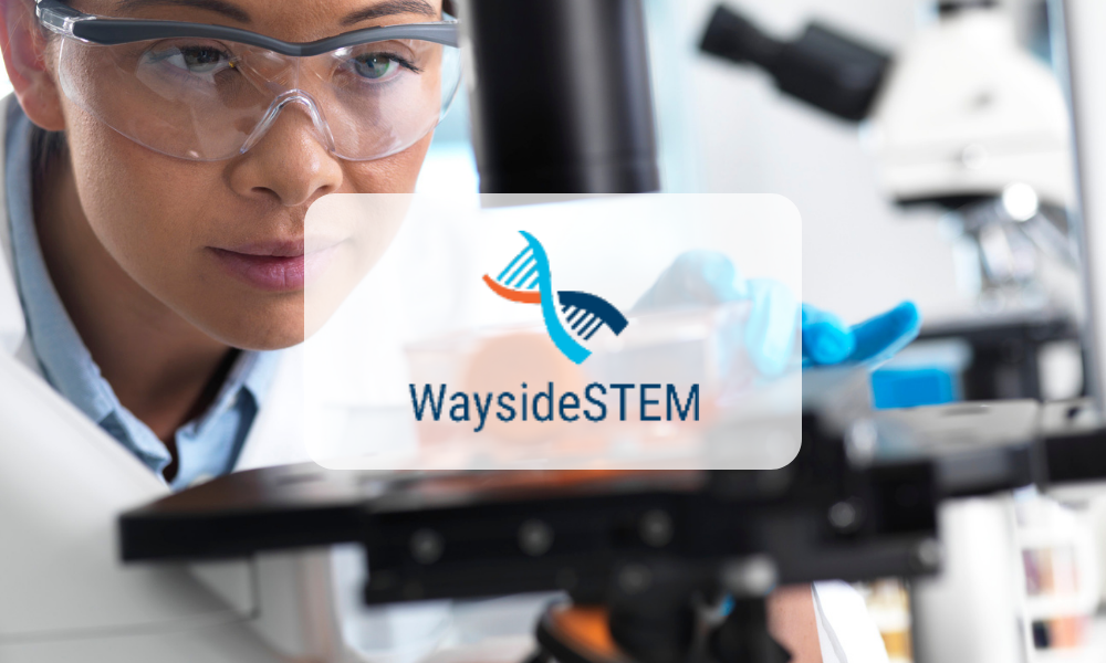 Wayside STEM