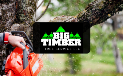 Big Timber Tree Service