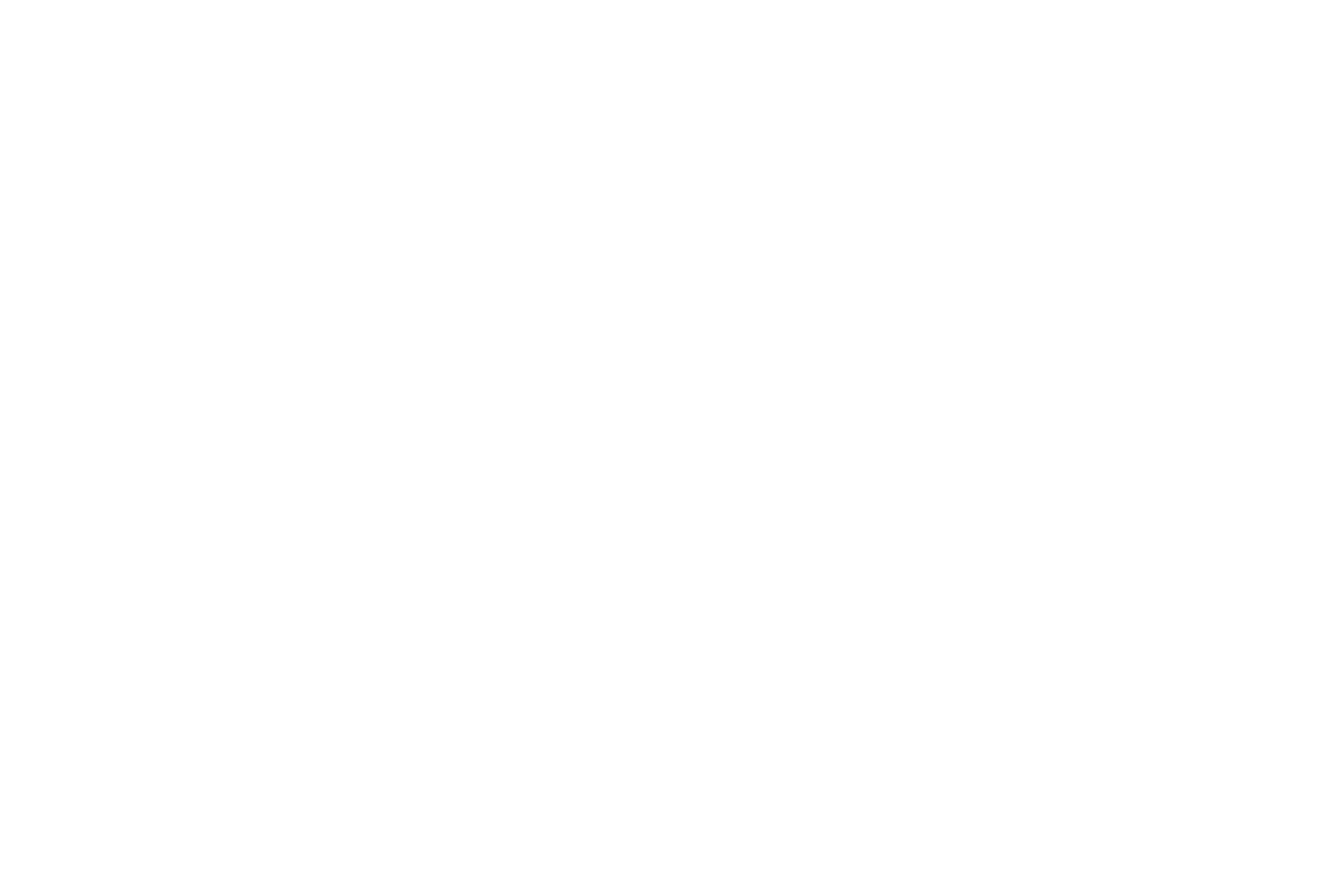 Credit Score